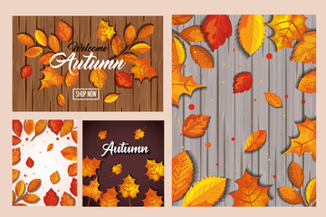 set patterns of autumn with leafs decoration