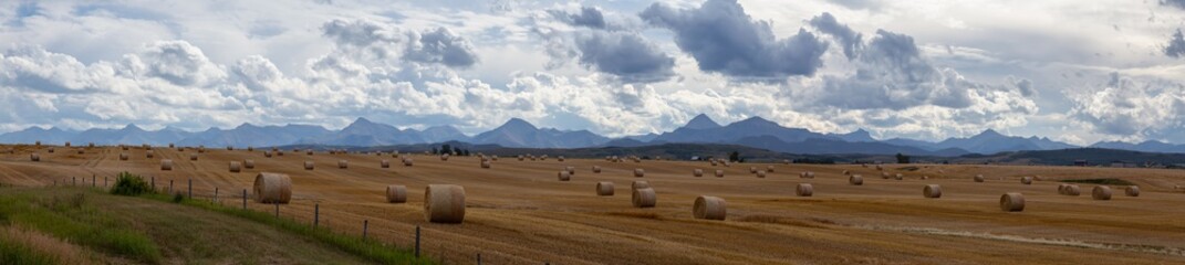 Panoramic View of Bales of Hay in a farm field during a vibrant sunny summer day. Taken near Pincher Creek, Alberta, Canada.