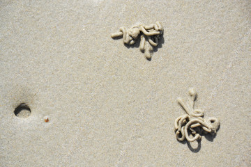 Sand on a seashore