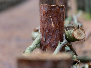 intresting rustic wicker fence, closeup background,