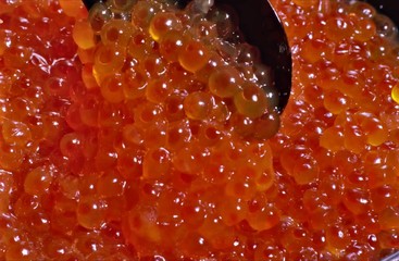 red caviar in spoon