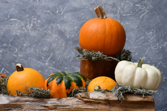 An image of an autumn composition: four coloured ornamental pumpkins and moss on a piece of wood, an orange ornamental pumpkin and moss on another piece of wood on a background of a gray-blue surface