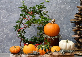 An autumn composition: five ornamental pumpkins and moss on a piece of wood, an orange pumpkin and...