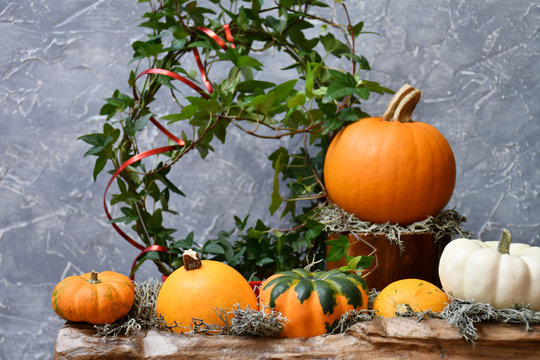 An image of an autumn composition: five ornamental pumpkins and moss on a piece of wood, a orange pumpkin and moss on another piece of wood, on a background of a gray ornamental surface and of an ivy