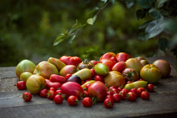  Tomatoes in assortment lie on a wooden table in open space
