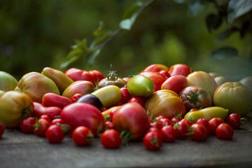  Tomatoes in assortment lie on a wooden table in open space