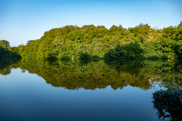 lake in deep forest