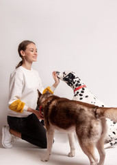 Dogs trainer, woman, among her two dogs, dalmatian and siberian husky isolated on white background. Trainer instructing dogs new teams. Dog training courses concept