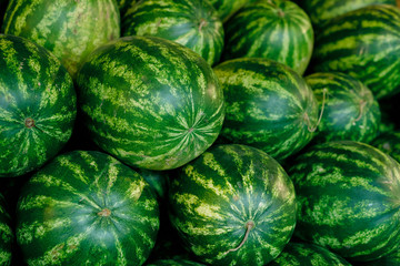 Large group of big green watermelons in supermarket making heap