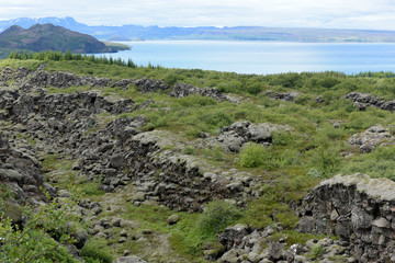 Vegetagion auf Lavafeldern und der See Thingvallavatn im Nationalpark Thingvellir in Island