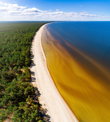 Bright summer day at the seaside with green forest.