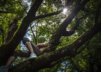 Organic food and healthy lifestyle concept