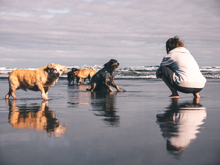 young girl taking pictures of her dogs on the beach
