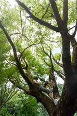 Organic food and healthy lifestyle concept