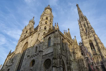 Deurstickers st stephens cathedral in vienna © aaron90311