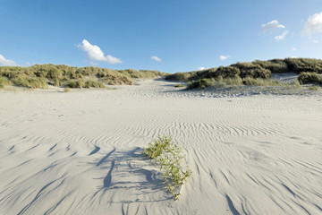 Langeoog Strand und Dünenlandschaft