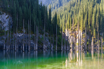 Kaindy lake - mountain lake in Kazakhstan