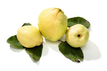 Fresh Quince fruit isolated on white background