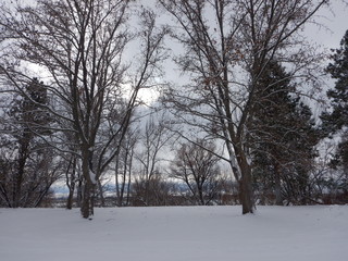 winter in the park
