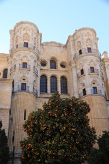 Naklejka premium Cathedral of Malaga, Spain