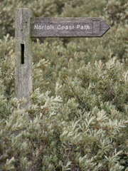 Norfolk Coast Path sign