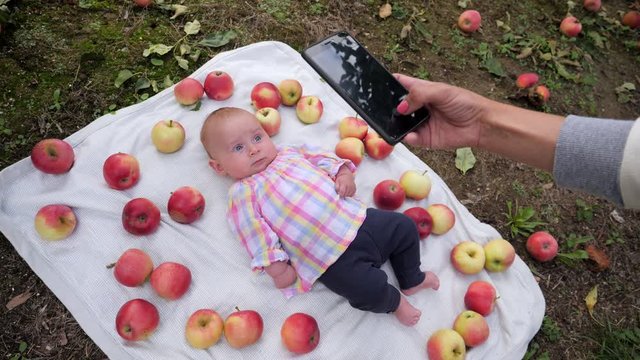 Mother takes mobile phone picture of infant baby daughter lie in apples on rug in fruit garden for social media