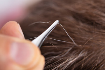 Hand Plucking Gray Hair With Tweezers