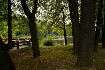 The lake in the park is surrounded on all sides by trees. On the lake people swim in boats.