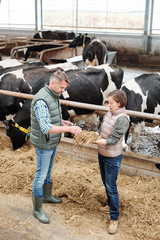 One of young workers of large dairy farm showing her colleague sample of hay