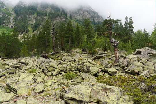 hiking path in wildlife between teberda and dombay, caucasus, with incredible beautiful nature