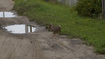 village, countryside, hamlet