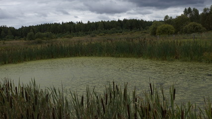village, countryside, hamlet