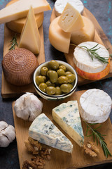 Fototapeta premium Aged cheese round and slices