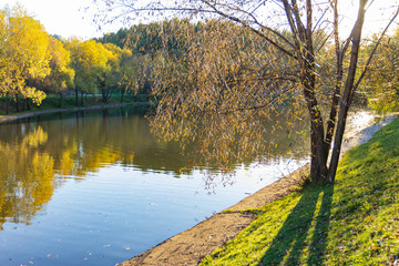 autumn landscape near the river
