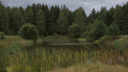 village, countryside, hamlet