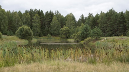 village, countryside, hamlet