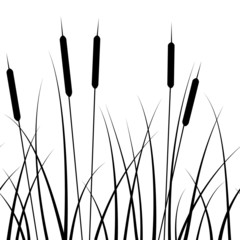 seamless pattern, with a pattern of grass silhouettes and reed - obrazy, fototapety, plakaty