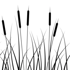 Foto op Canvas seamless pattern, with a pattern of grass silhouettes and reed © Halyna