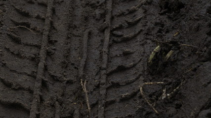 village, countryside, hamlet