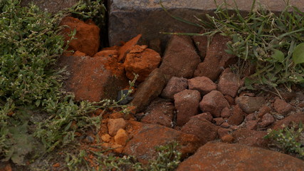 village, countryside, hamlet