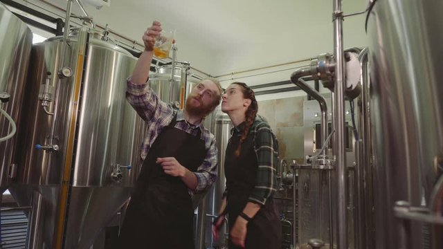 Brewery workers looking at freshly made beer in glass tube and discussing it. Male and female brewer testing beer at brewery factory. 4k. Small business concept.