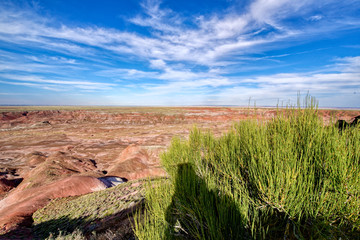The Painted Desert in Petrified Forest National Park