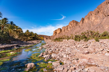Fototapeta na wymiar Fresh river in Beautiful Desert oasis nature landscape in Oasis De Fint near Ourzazate in Morocco, North Africa