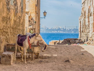Naklejka premium Senegal, island of Goree