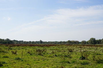 Fototapeta na wymiar Panoramalandschaft der Aalbeek-Niederung