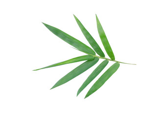 Fototapeta premium Bamboo leaves isolated from the white background (2)