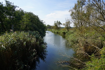 Sonnige, idyllische Flusslandschaft (Lübecker Bucht)