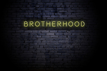 Highlighted brick wall with neon inscription brotherhood