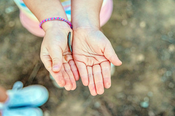 A girl holds a millipede insect worm in her hands, found during a field trip.