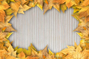 Colorful autumn dry leaves border frame on white painted rustic barn wood blanks background. Empty space for copy, text, lettering. Horizontal postcard template
